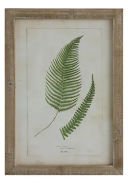 Framed Wall Decor with Fronds, 6 Styles