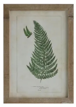 Framed Wall Decor with Fronds, 6 Styles