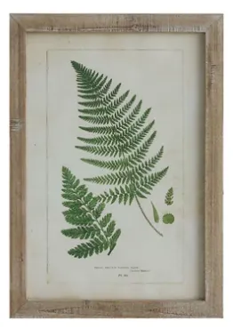 Framed Wall Decor with Fronds, 6 Styles