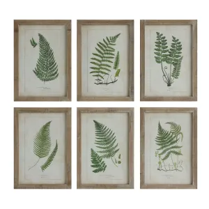 Framed Wall Decor with Fronds, 6 Styles