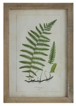Framed Wall Decor with Fronds, 6 Styles