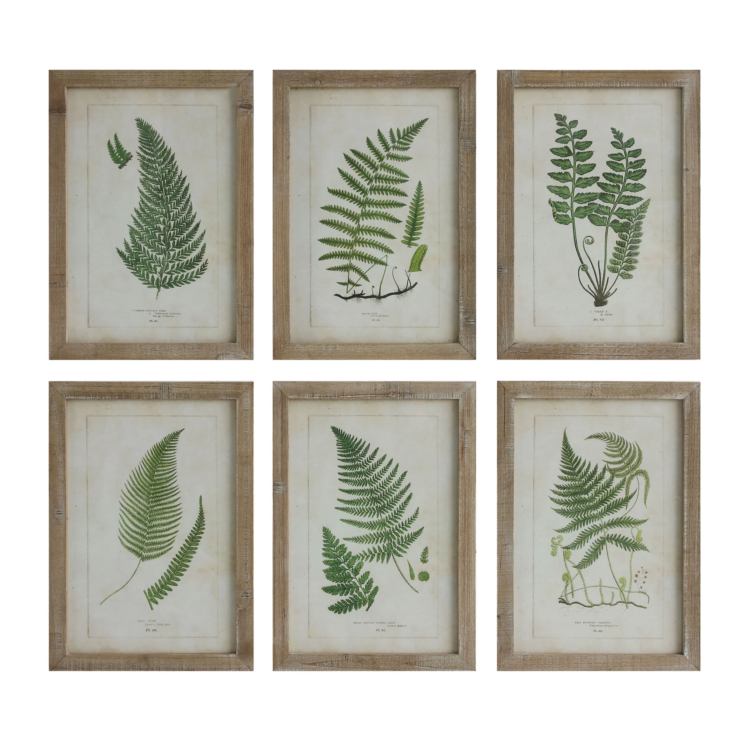 Framed Wall Decor with Fronds, 6 Styles