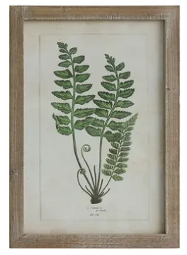 Framed Wall Decor with Fronds, 6 Styles