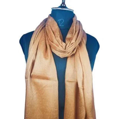 Self Designer| Sami- Pashmina Stoles | Orange