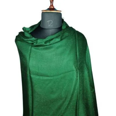 Self Designer|Sami- Pashmina Stoles | Bottle Green