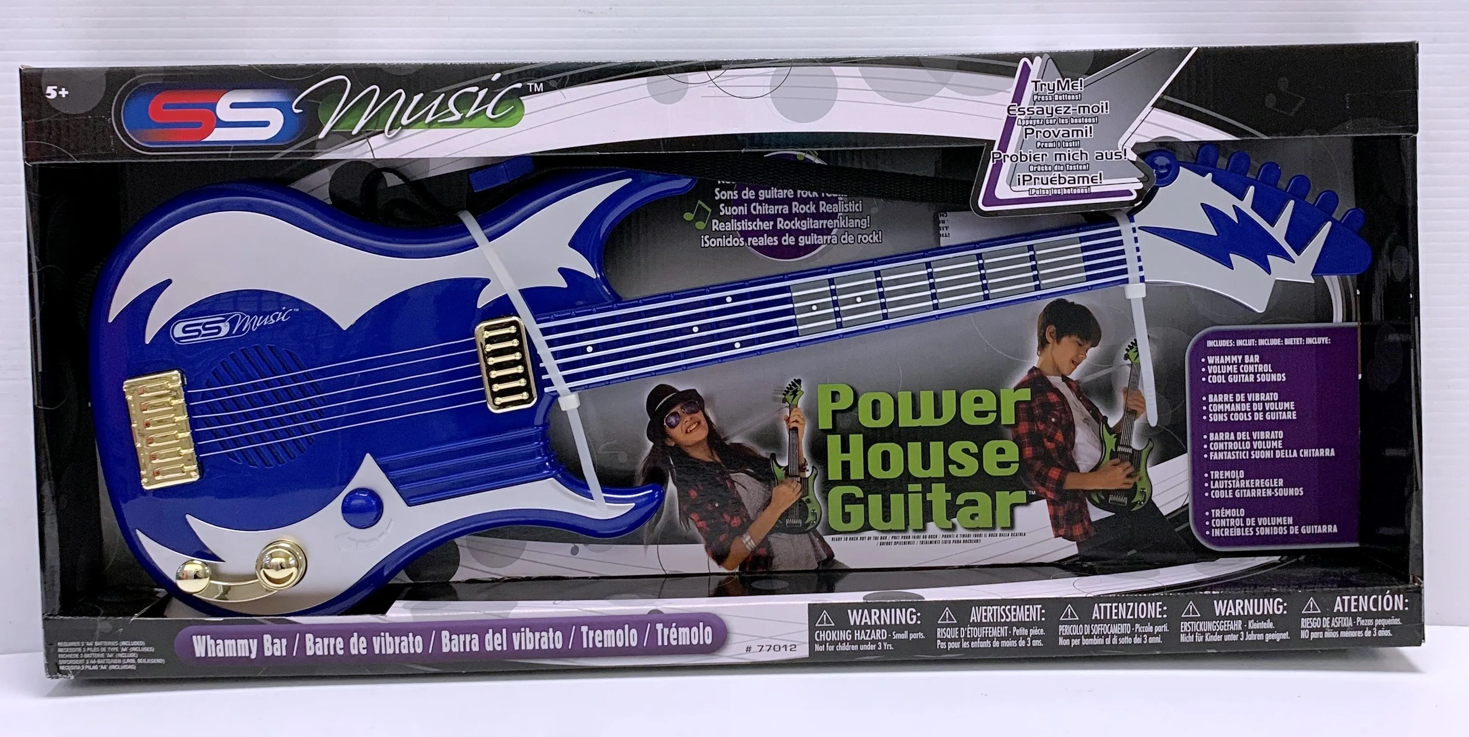 SS MUSIC POWER HOUSE GUITAR ASSORTED STYLES